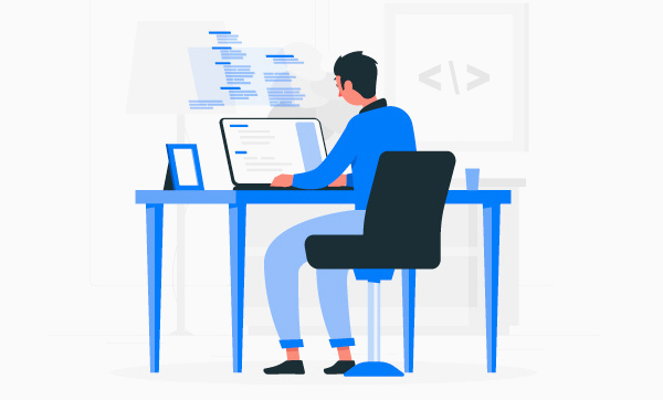 Wordpress- Developer